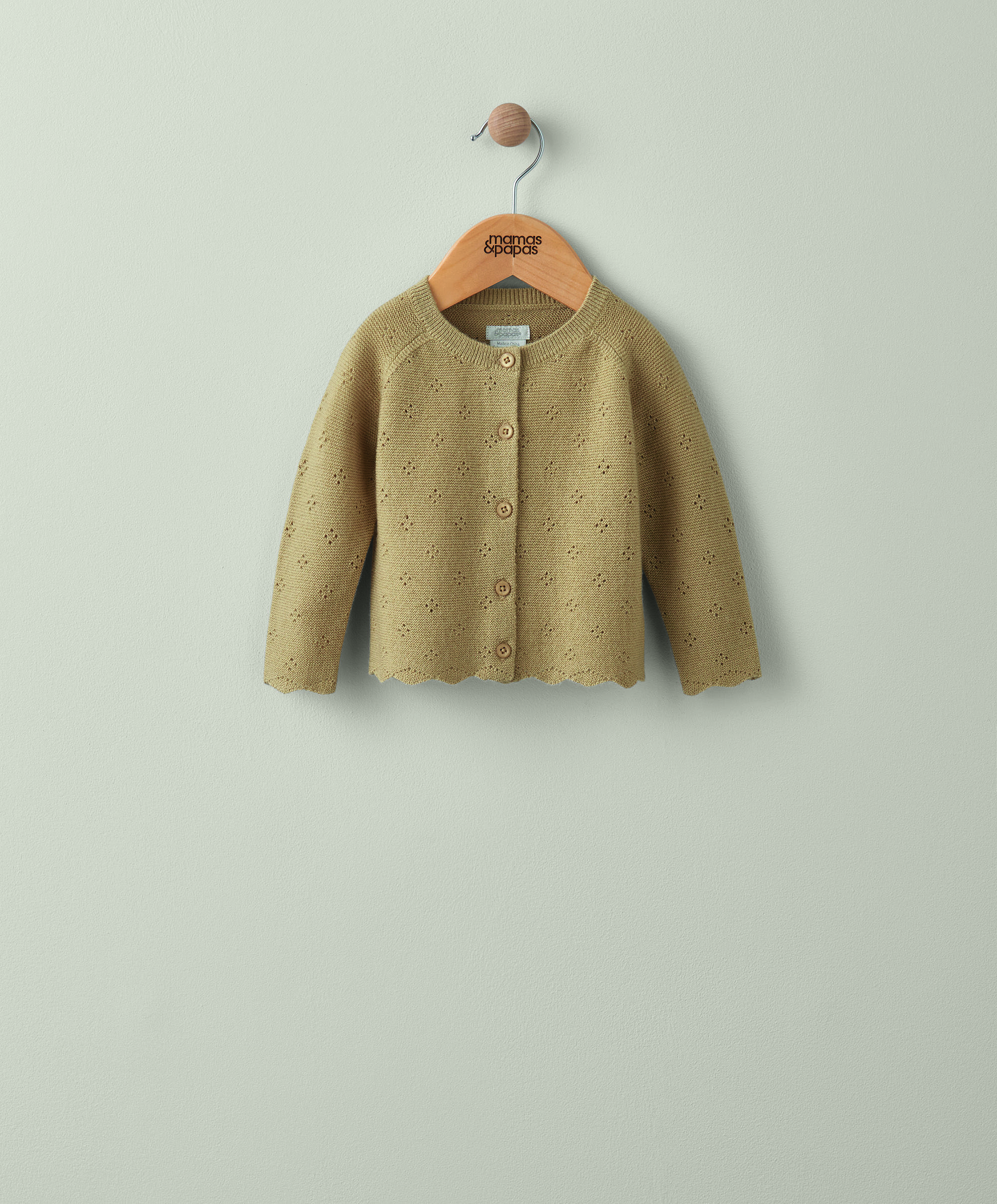 كارديغان بحافة صدفية image number 1