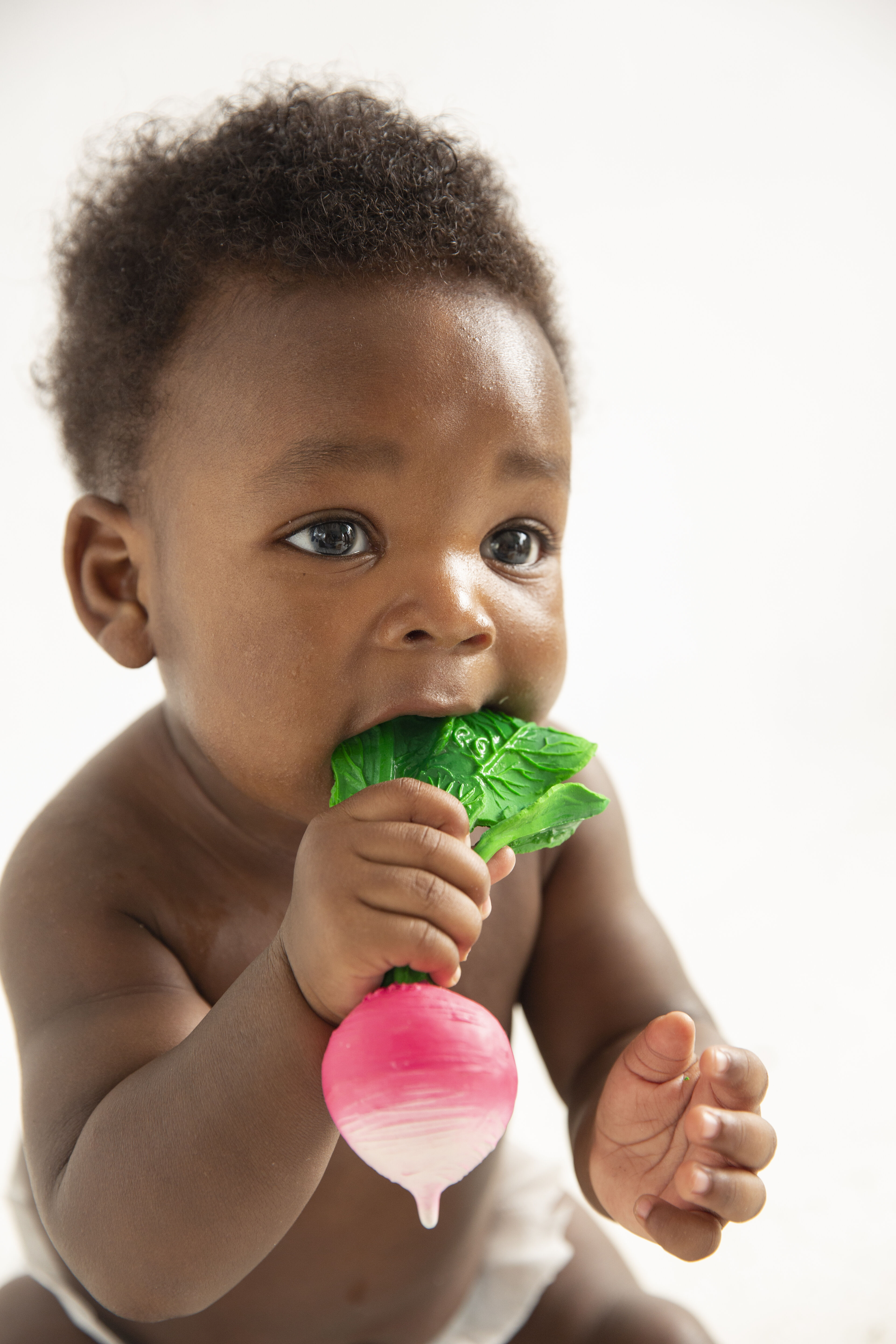 لعبة بتصميم الفجل رامونا من أولي اند كارول image number 6