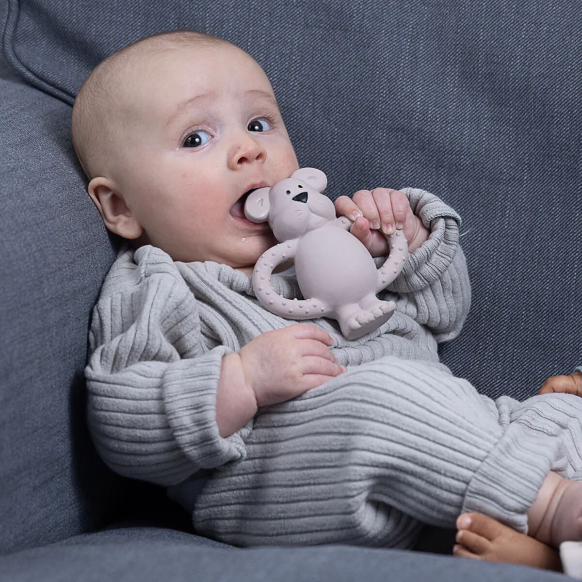 حلقة تسنين بتصميم الدب ألبرت من مطاط طبيعي - وردي image number 2