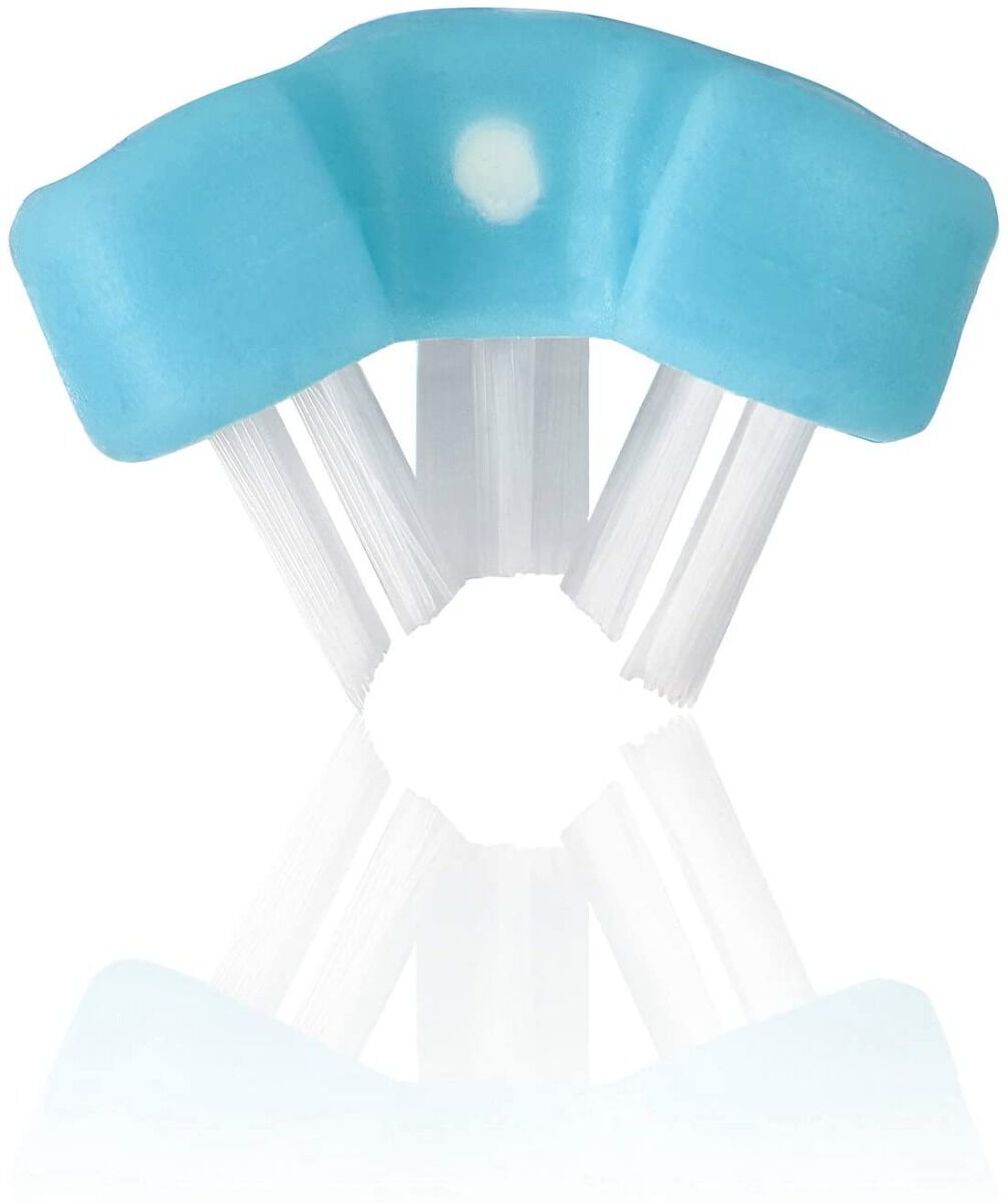 فرشاة توث هاجر سمايل فريدا - أزرق image number 2