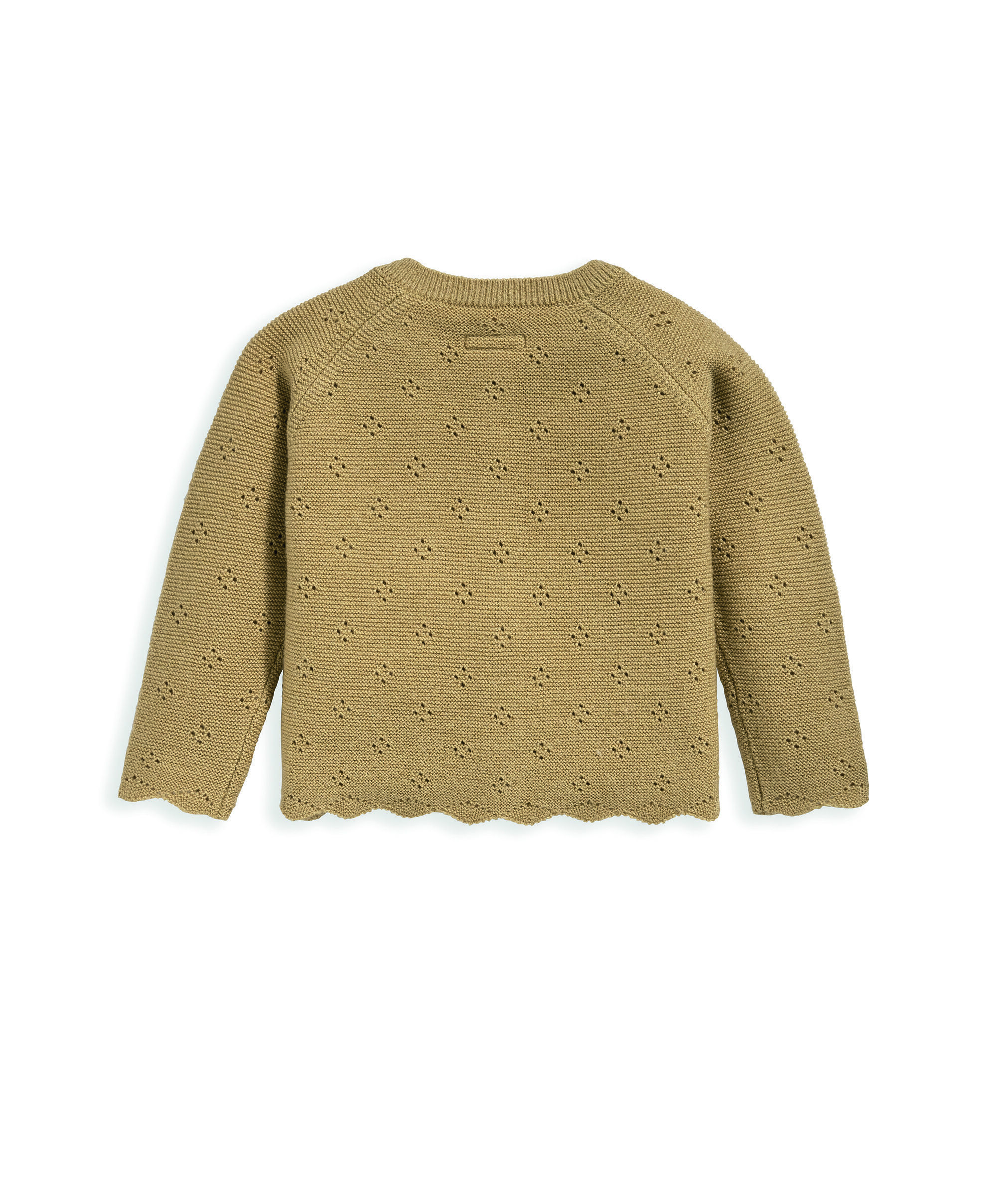 كارديغان بحافة صدفية image number 3