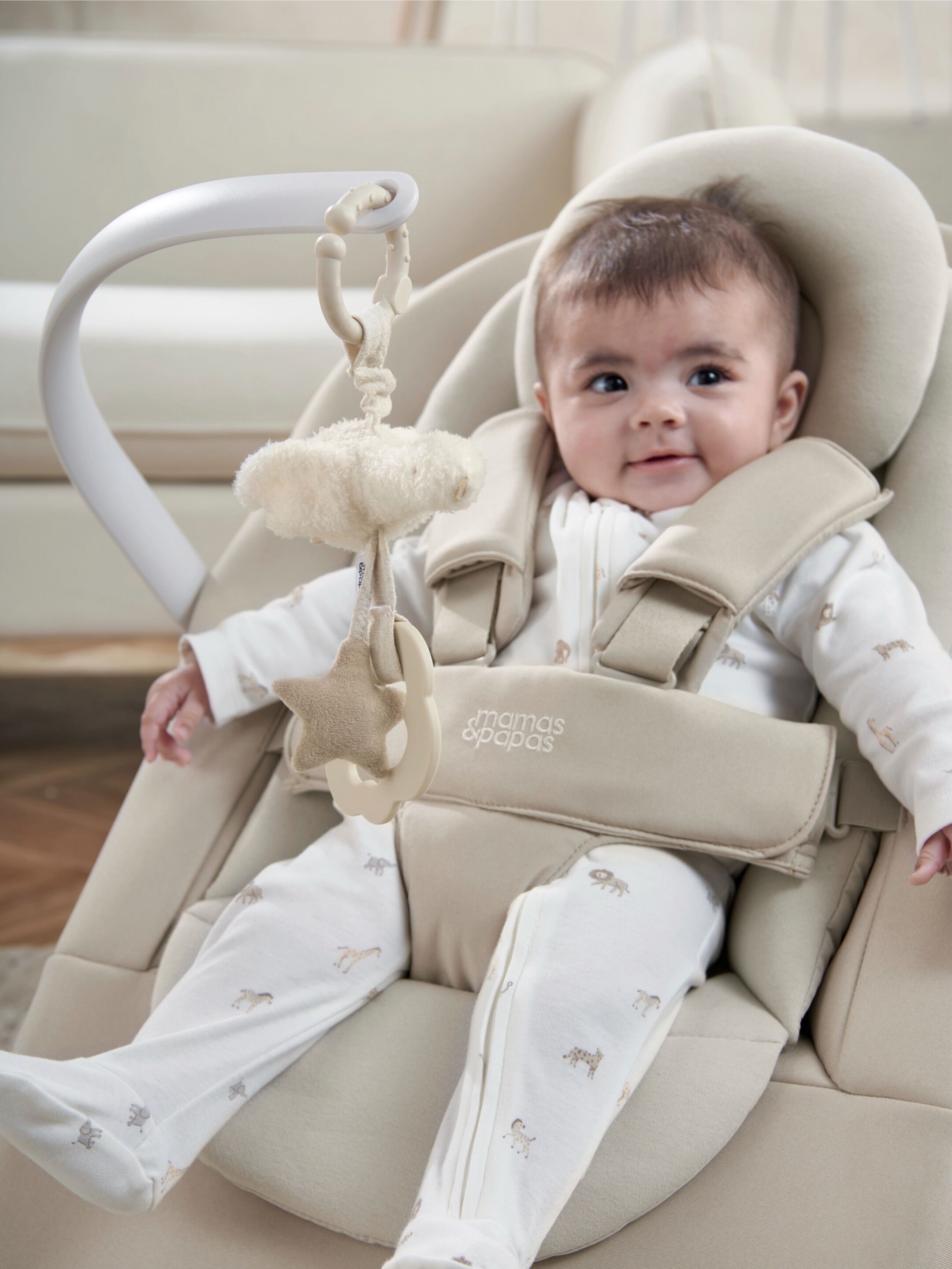 كرسي إنو هزاز، كشمير image number 7