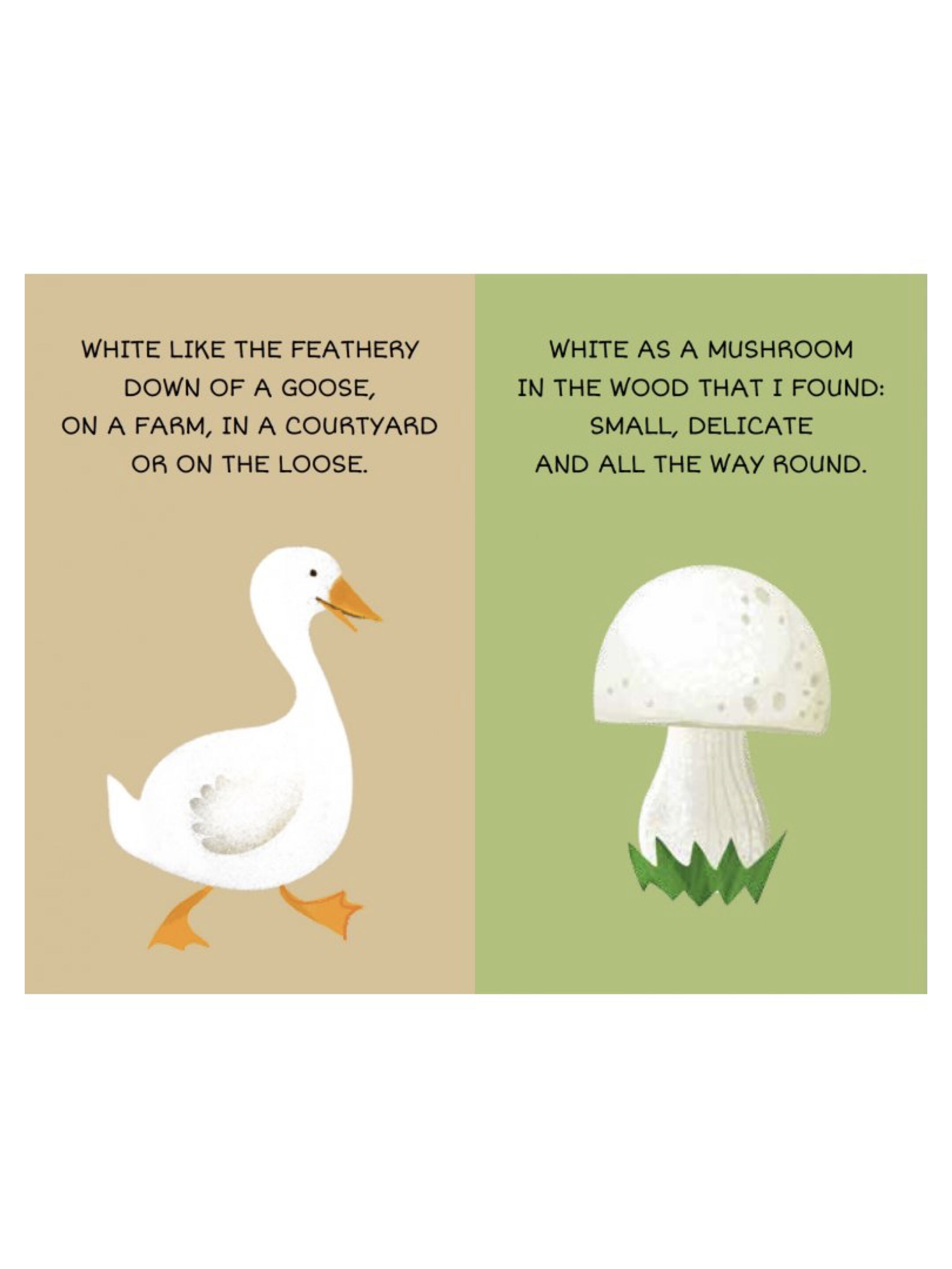 مجموعة كتب ماي فيرست ليبراري من ساسي - الألوان image number 5