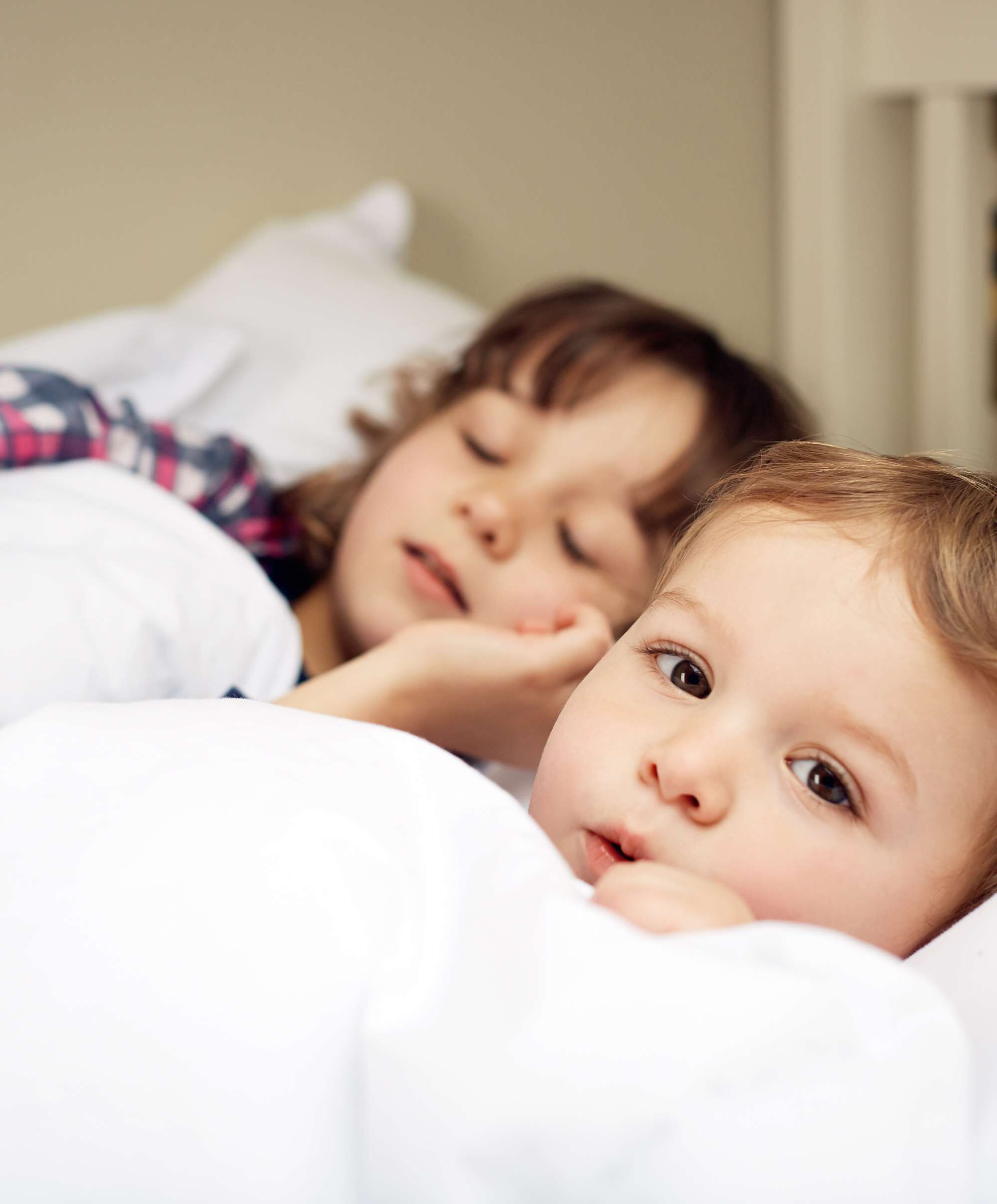 مجموعة لحاف ووسادة المهد المضادة للحساسية image number 7